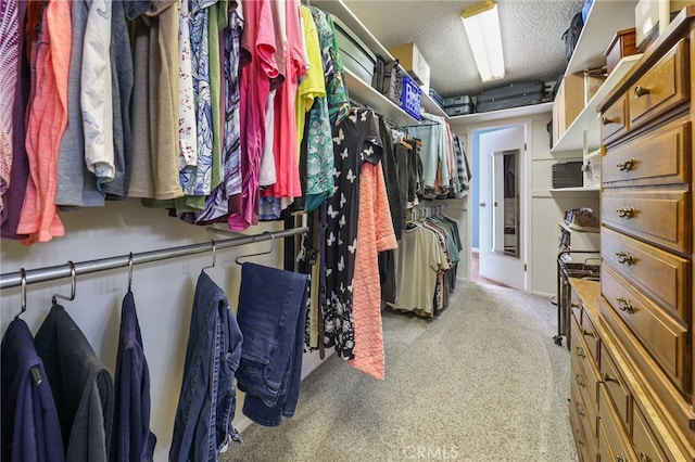 15403 Domart Ave, Norwalk, CA 90650 - spacious closet with carpet floors