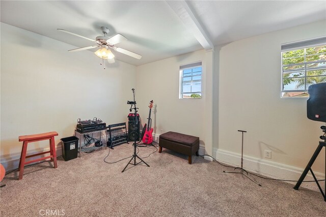 15403 Domart Ave, Norwalk, CA 90650 - workout room with carpet, plenty of natural light, and ceiling fan