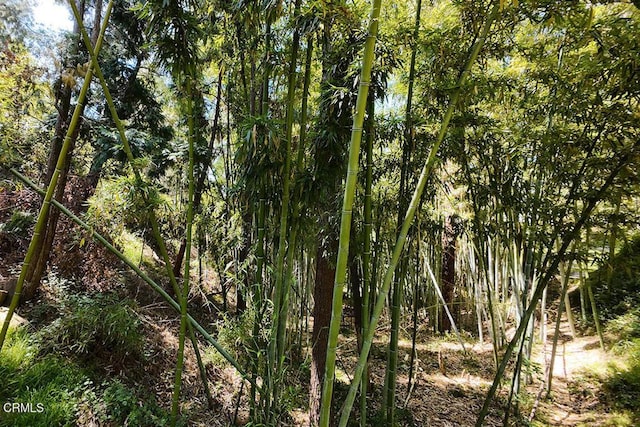633 Norumbega Dr, Monrovia, CA 91016 - view of local wilderness