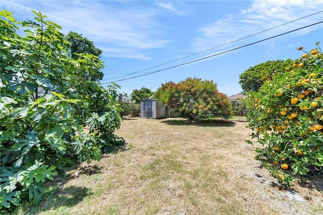 14403 S White Ave, Compton, CA 90221 - view of green lawn