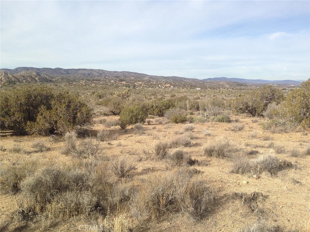 0 Fort Tejon Rd, Pearblossom, CA 93553
