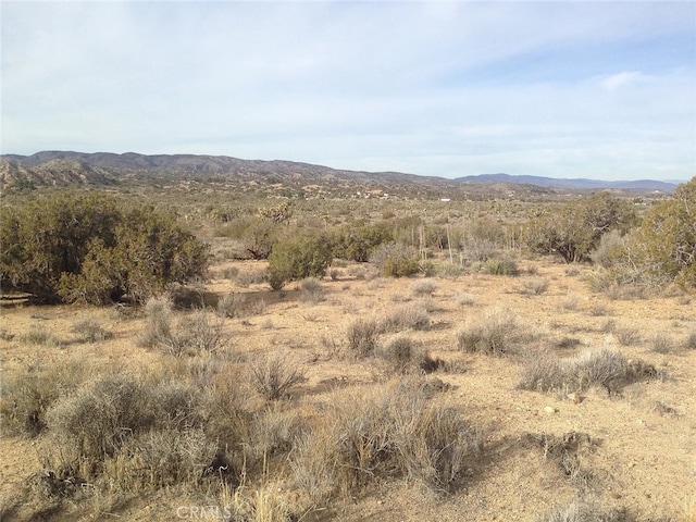 0 Fort Tejon Rd, Pearblossom, CA 93553