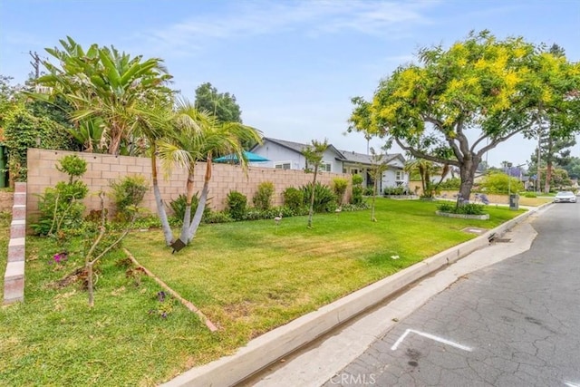 19921 Rambling Rd, Covina, CA 91724 - view of yard