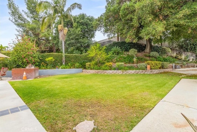 19921 Rambling Rd, Covina, CA 91724 - view of yard