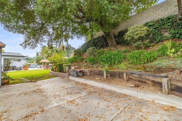 19921 Rambling Rd, Covina, CA 91724 - view of green lawn featuring a patio area