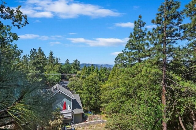 26745 Hopkins Rd, Idyllwild, CA 92549 - photo 26