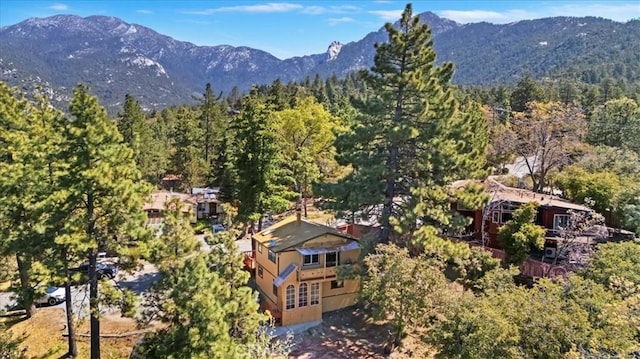 26745 Hopkins Rd, Idyllwild, CA 92549 - mountain view featuring a heavily wooded area
