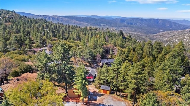 26745 Hopkins Rd, Idyllwild, CA 92549 - photo 12
