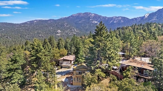 26745 Hopkins Rd, Idyllwild, CA 92549 - photo 44