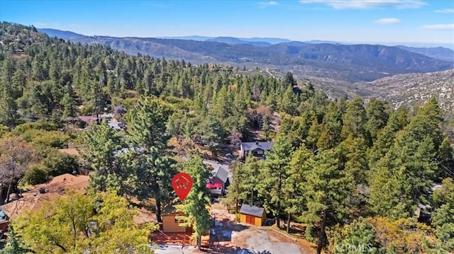 26745 Hopkins Rd, Idyllwild, CA 92549 - photo 11