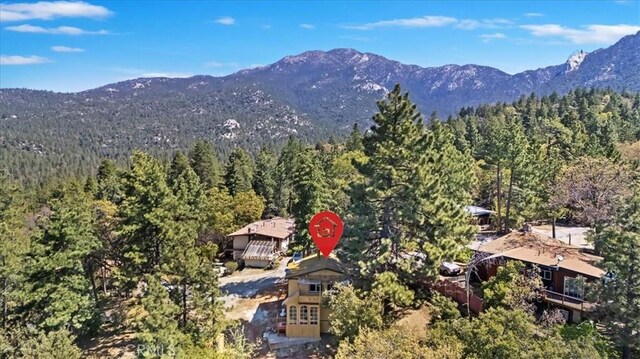 26745 Hopkins Rd, Idyllwild, CA 92549 - photo 47