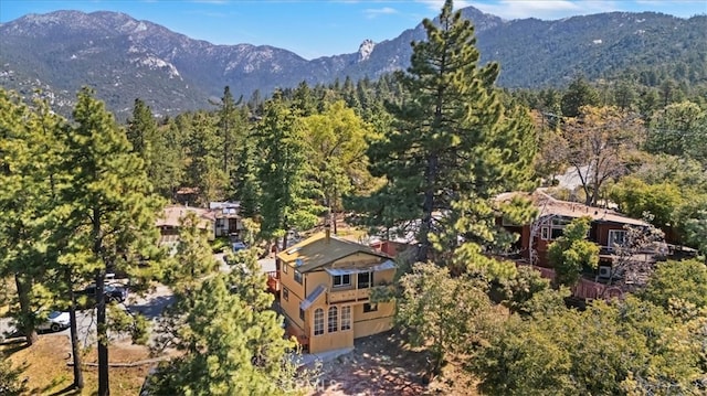 26745 Hopkins Rd, Idyllwild, CA 92549 - view of mountain background with a forest