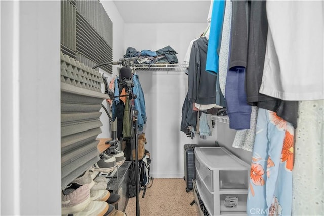 1023 Vista Del Cerro Dr Unit 205, Corona, CA 92879 - view of spacious closet