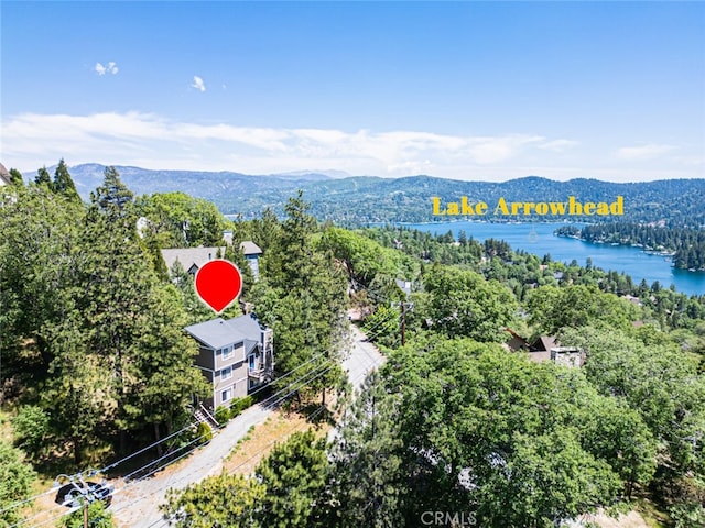 27638 St Bernard Ln, Lake Arrowhead, CA 92352 - bird's eye view of a forest and a water and mountain view