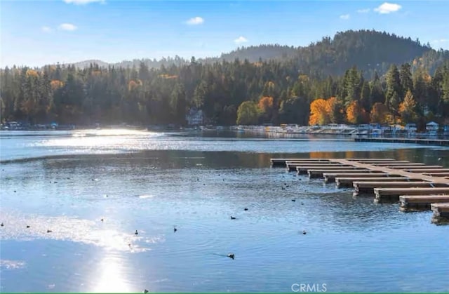 27638 St Bernard Ln, Lake Arrowhead, CA 92352 - water view featuring a forest