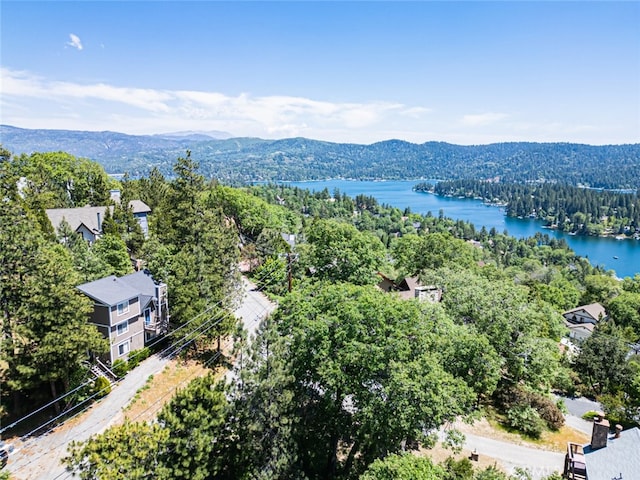 27638 St Bernard Ln, Lake Arrowhead, CA 92352 - bird's eye view of a forest and a water and mountain view