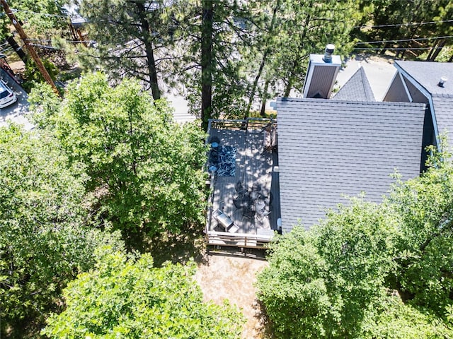 27638 St Bernard Ln, Lake Arrowhead, CA 92352 - view of subject property