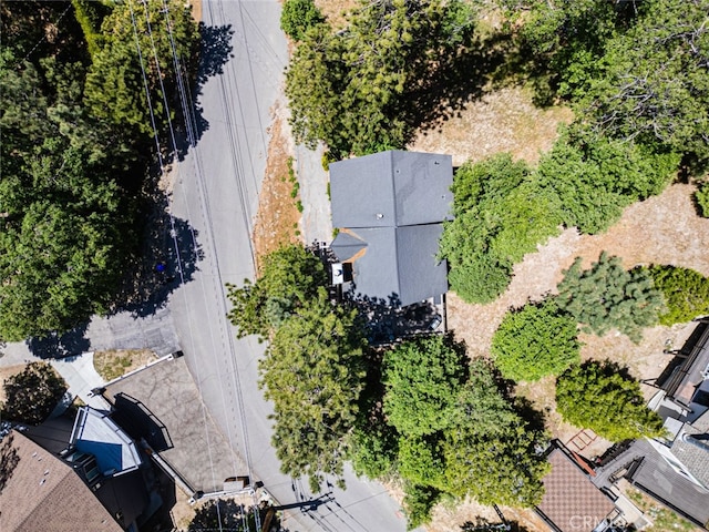 27638 St Bernard Ln, Lake Arrowhead, CA 92352 - drone / aerial view
