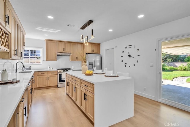 1321 S 8th Ave, Arcadia, CA 91006 - kitchen featuring appliances with stainless steel finishes, light wood-type flooring, under cabinet range hood, a sink, and healthy amount of natural light