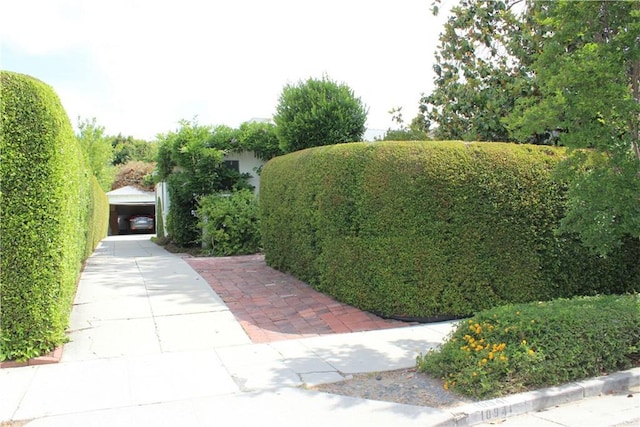 10941 Peach Grove St, North Hollywood, CA 91601 - view of yard with concrete driveway