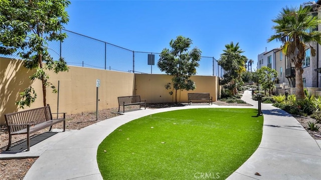 1207 Doheny Way, Dana Point, CA 92629 - surrounding community with a yard