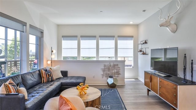 1207 Doheny Way, Dana Point, CA 92629 - living area featuring wood finished floors and baseboards
