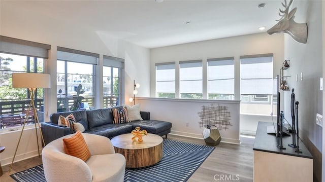 1207 Doheny Way, Dana Point, CA 92629 - living room with wood finished floors