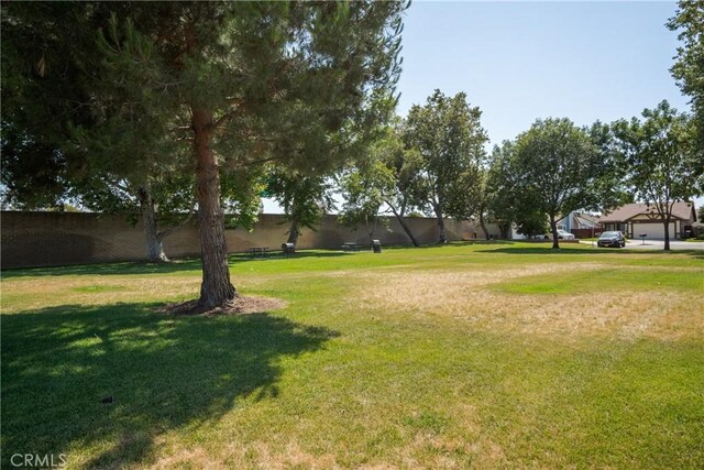 2355 S Pinehurst Pl, Ontario, CA 91761 - view of yard