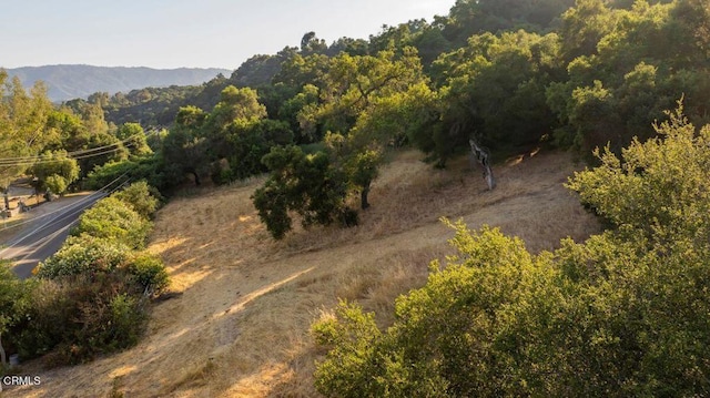 0 Creek Rd, Oak View, CA 93022