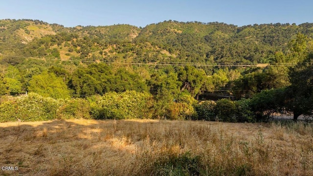 0 Creek Rd, Oak View, CA 93022