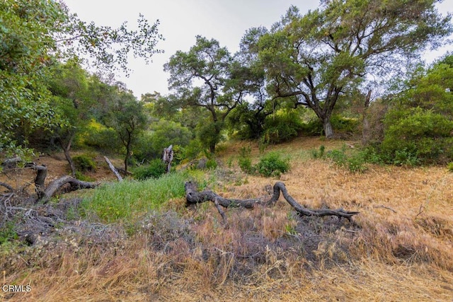 0 Creek Rd, Oak View, CA 93022