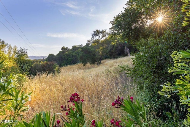 0 Creek Rd, Oak View, CA 93022