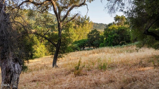 0 Creek Rd, Oak View, CA 93022