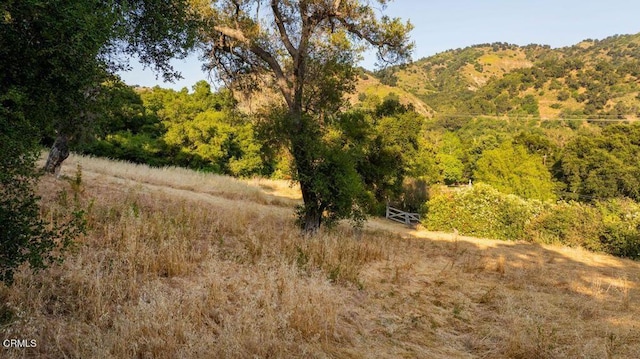 0 Creek Rd, Oak View, CA 93022