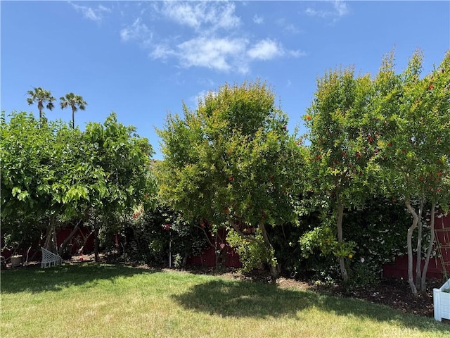 8730 Twin Trails Dr, San Diego, CA 92129 - view of grassy yard