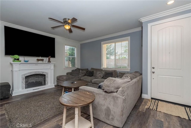 2038 Mesquite Ln, Colton, CA 92324 - living room with a ceiling fan, wood finished floors, ornamental molding, baseboards, and a fireplace