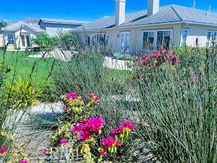 889 Highridge St, Riverside, CA 92506 - view of yard