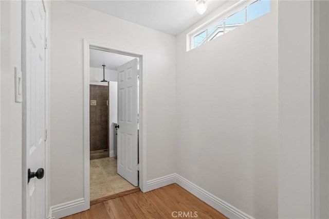 16801 Nordhoff St, Northridge, CA 91343 - corridor with baseboards and light wood-style floors
