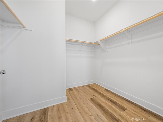 191 Lynx, Irvine, CA 92618 - walk in closet featuring light wood-style flooring