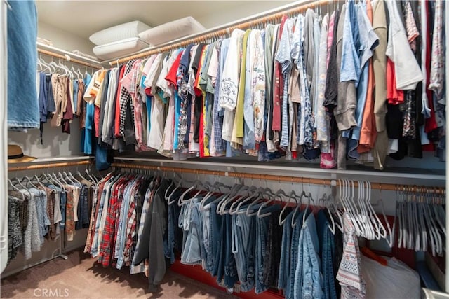 5215 Columbia Way, Lancaster, CA 93536 - spacious closet with carpet