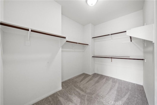 46239 Lone Pine Dr, Temecula, CA 92592 - spacious closet with carpet floors