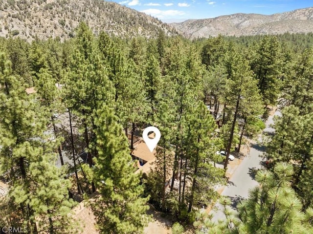 1698 Thrush Rd, Wrightwood, CA 92397 - mountain view with a heavily wooded area