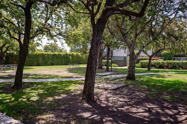3700 Dean Dr Unit 1805, Ventura, CA 93003 - view of green lawn