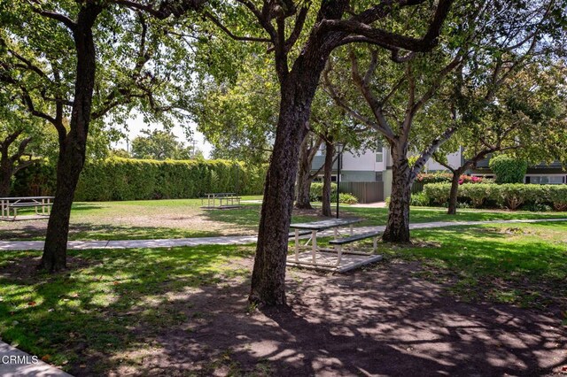 3700 Dean Dr Unit 1805, Ventura, CA 93003 - view of green lawn