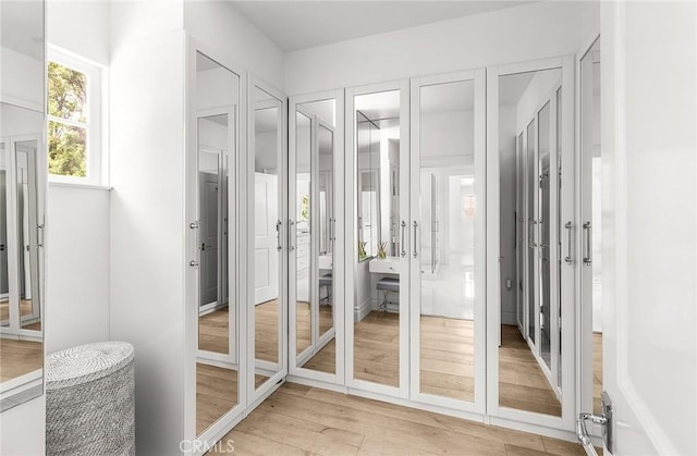 5 Modesto, Irvine, CA 92602 - spacious closet featuring light wood-style floors and french doors