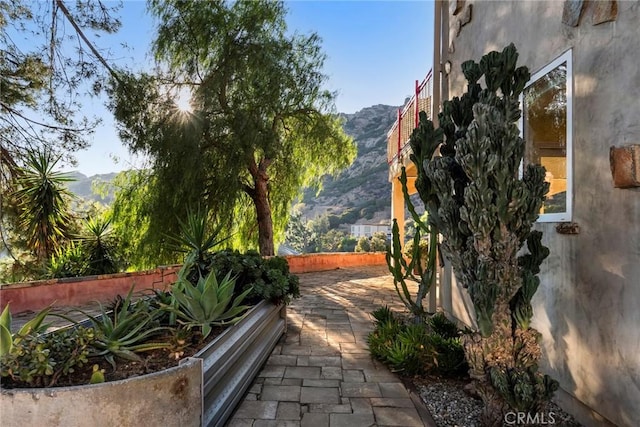 801 Box Canyon Rd, Canoga Park, CA 91304 - view of property's community featuring a mountain view and a patio