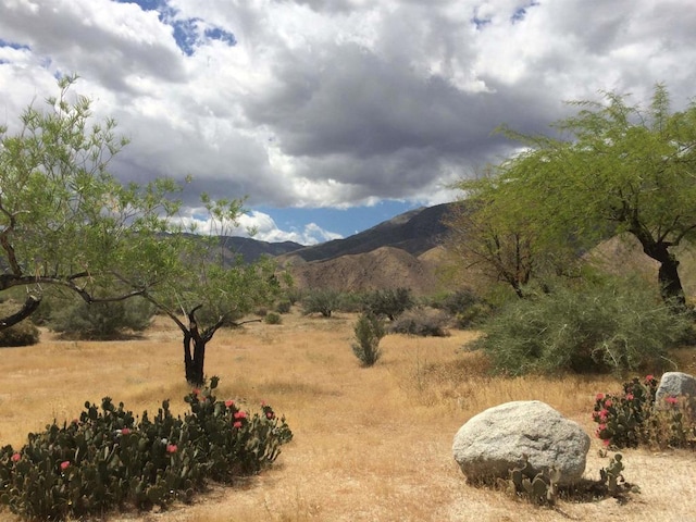 2207 Hoberg Rd, Borrego Springs, CA 92004 - view of mountain background