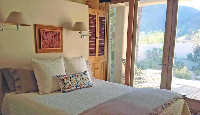 2207 Hoberg Rd, Borrego Springs, CA 92004 - bedroom with access to outside and french doors