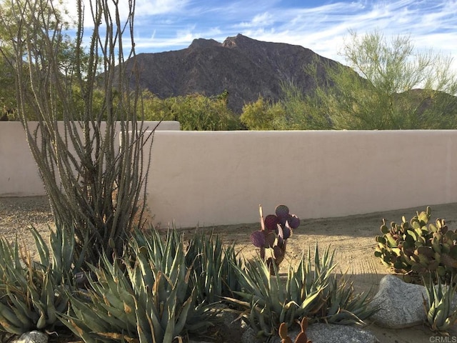 2207 Hoberg Rd, Borrego Springs, CA 92004 - view of mountain backdrop