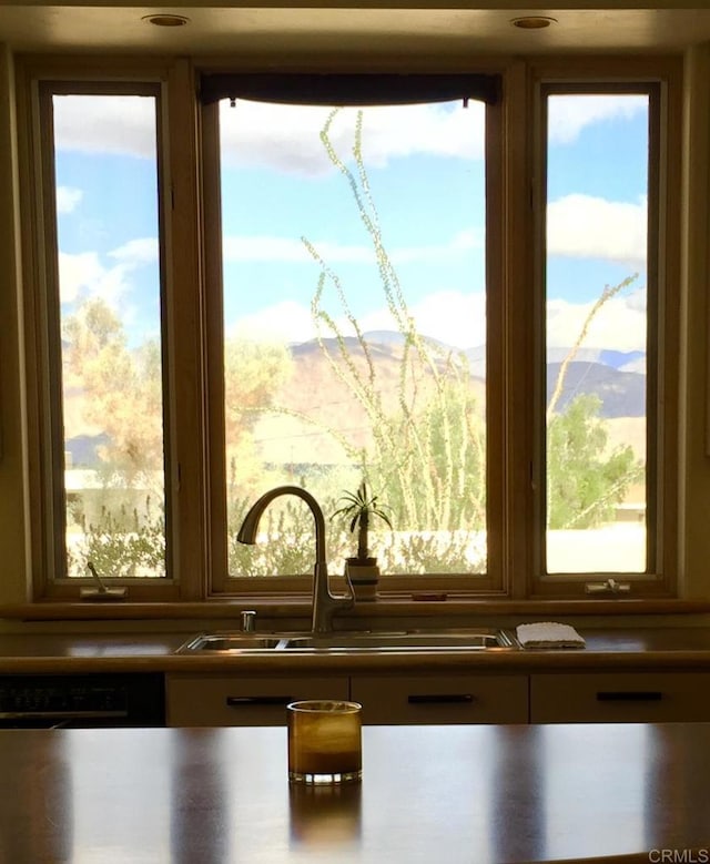 2207 Hoberg Rd, Borrego Springs, CA 92004 - kitchen view of dishwasher and a mountain backdrop